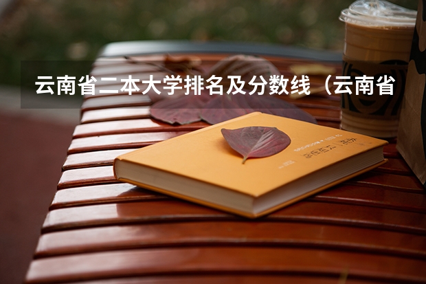 云南省二本大学排名及分数线(云南省公办二本大学排名榜)