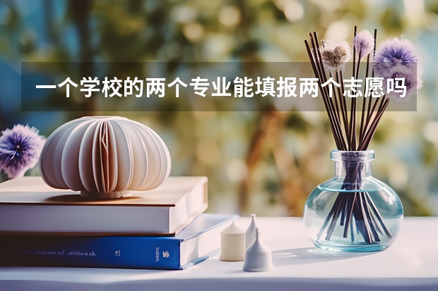 一个学校的两个专业能填报两个志愿吗?