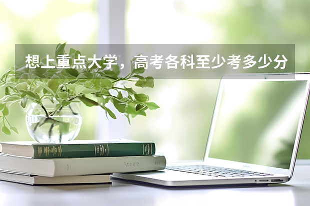 想上重点大学,高考各科至少考多少分才行